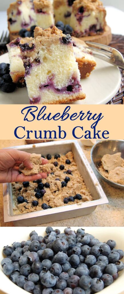 Blueberry Crumb Cake Baking Sense 6212