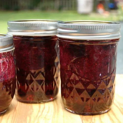 Blueberry Lemon Preserves - Baking Sense®