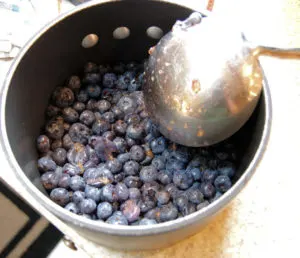Blueberry Lemon Preserves - Baking Sense