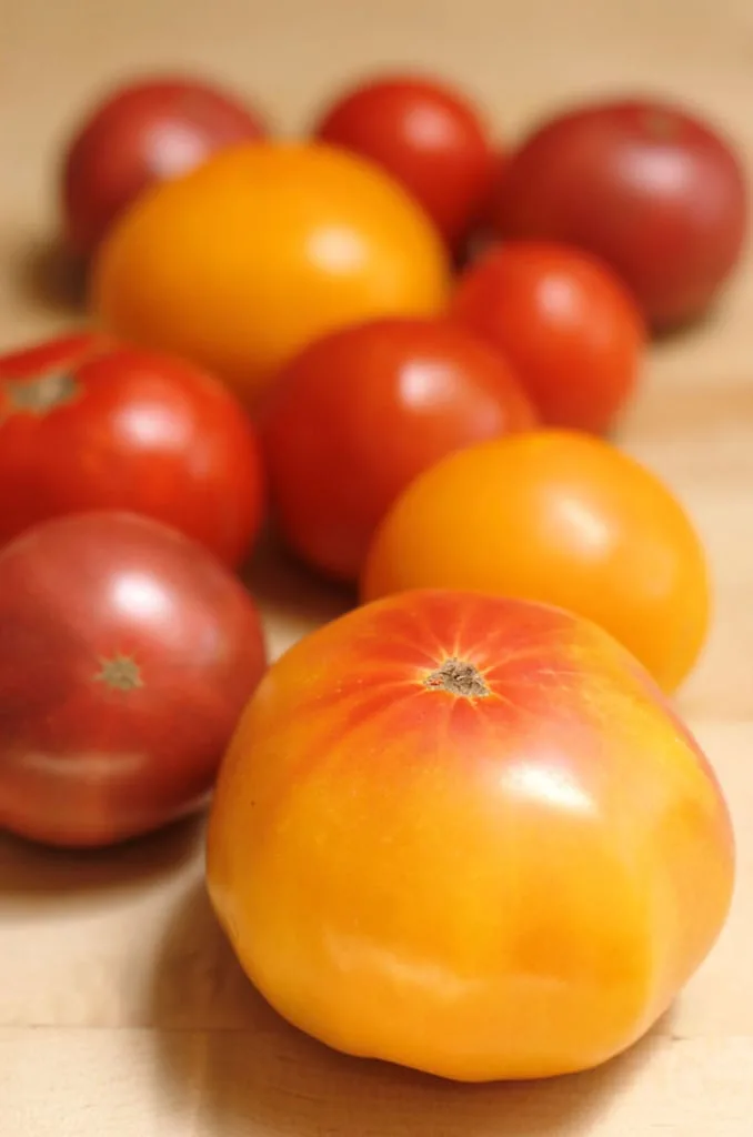 Heirloom Tomato Pie - Baking Sense