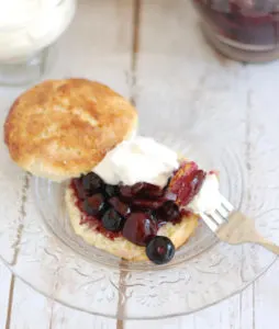 cherry blueberry shortcake