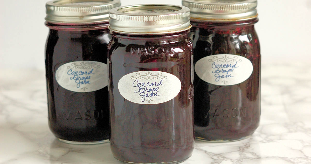 Concord Grape Jam with Vanilla - Baking Sense®