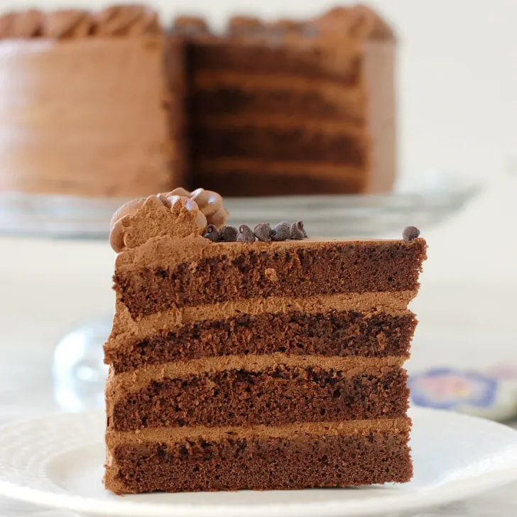 Chocolate Angel Food Cake - Baking Sense®