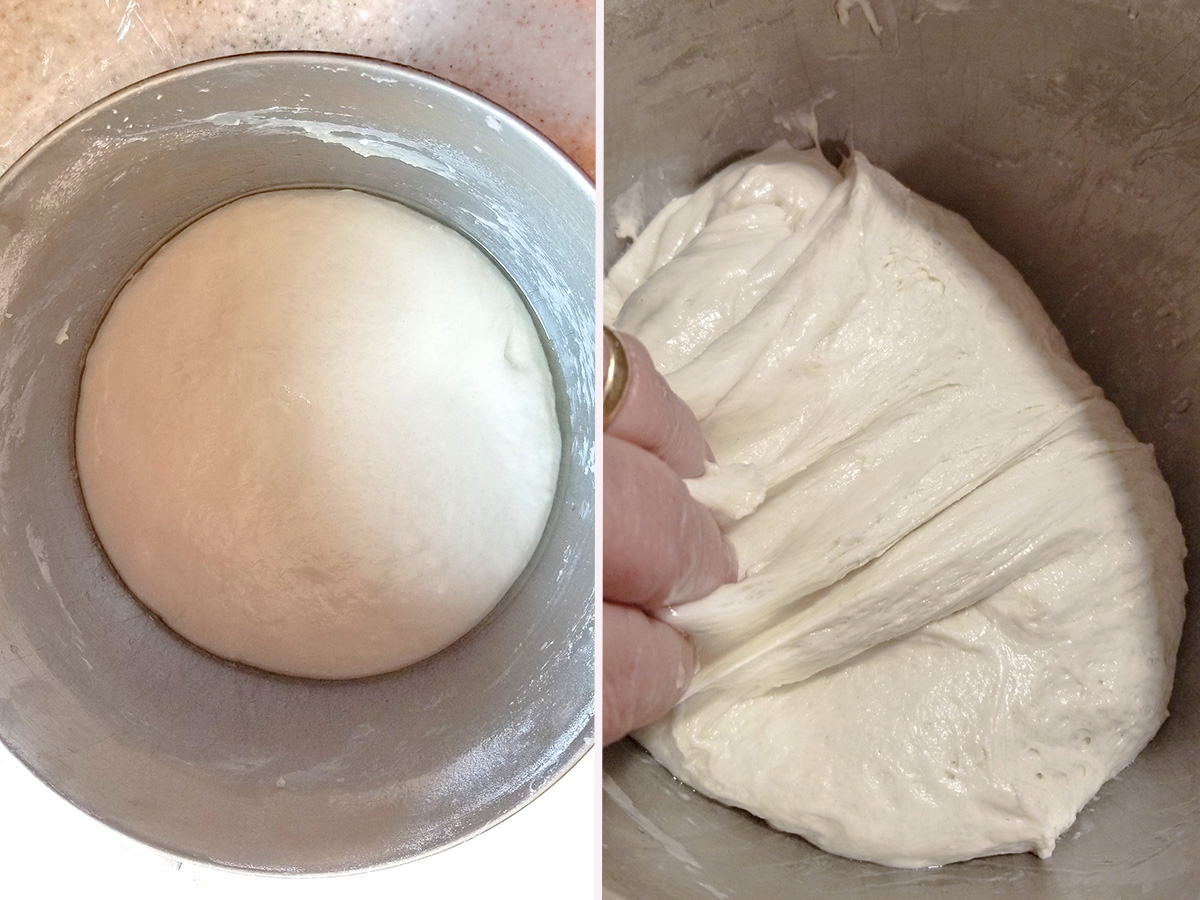 a bowl of english muffin dough. A bowl of dough being folded by hand.