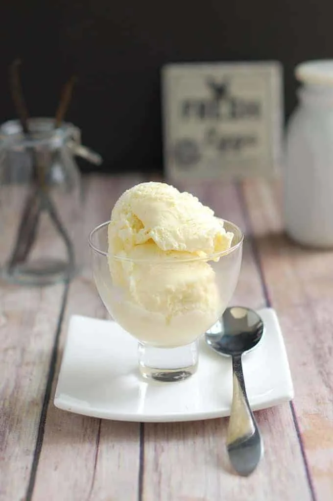 19 Best Ice Cream Products and Tools - How to Make Homemade Ice Cream