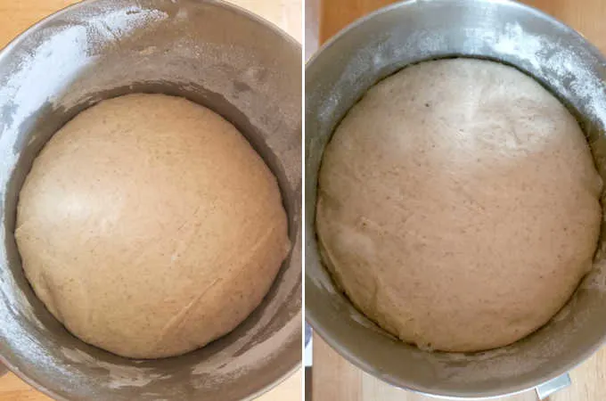 https://www.baking-sense.com/wp-content/uploads/2019/07/sourdough-rye-bread-5.jpg.webp