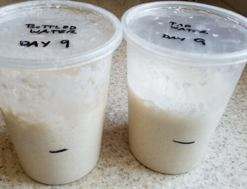 Creating a Sourdough Starter — Poetry & Pies