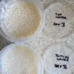 How to keep a Small Sourdough Starter - Baking Sense®