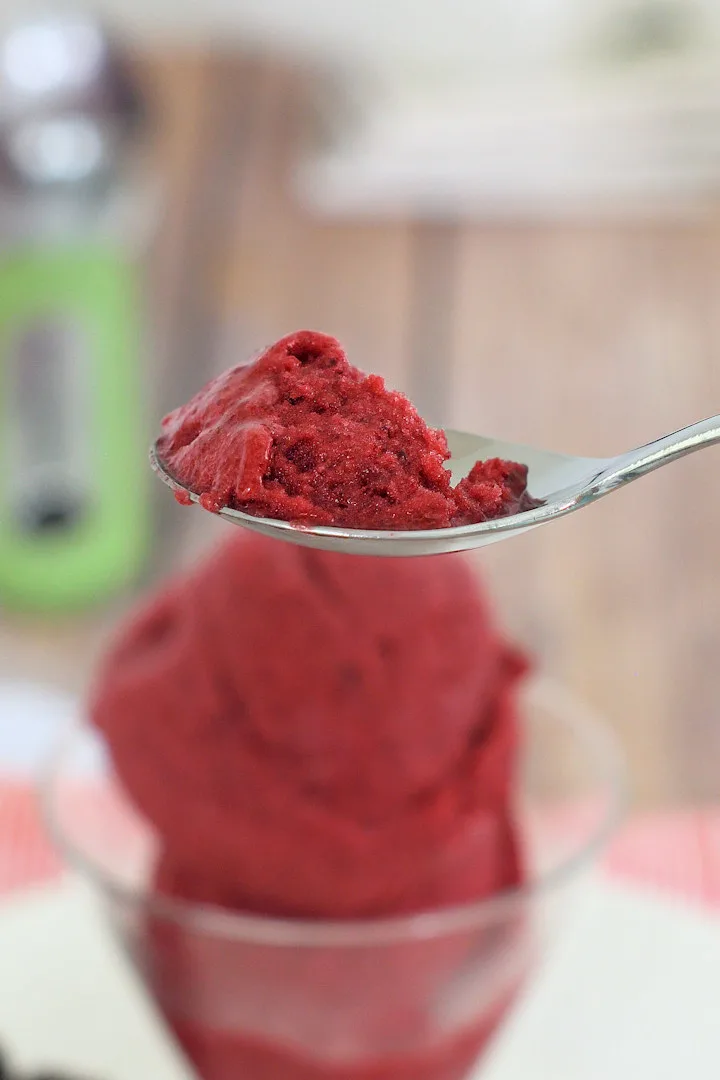 Homemade Blackberry Sorbet - Baking Sense®