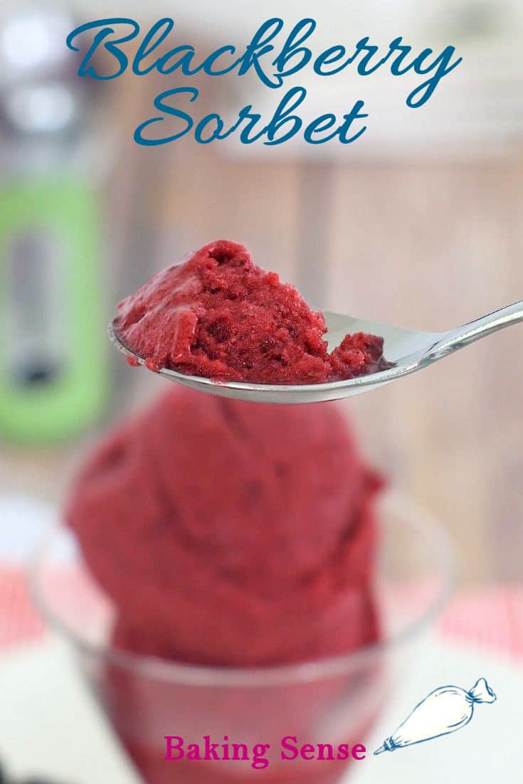 Homemade Blackberry Sorbet - Baking Sense®