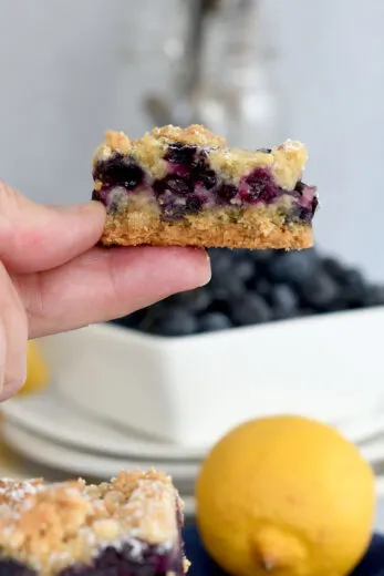 Blueberry Crumb Bars - Baking Sense®