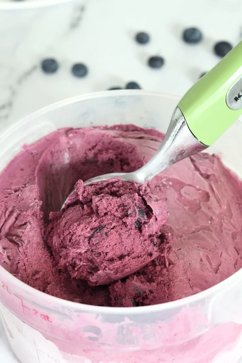 Homemade Blueberry Ice Cream Baking Sense® 