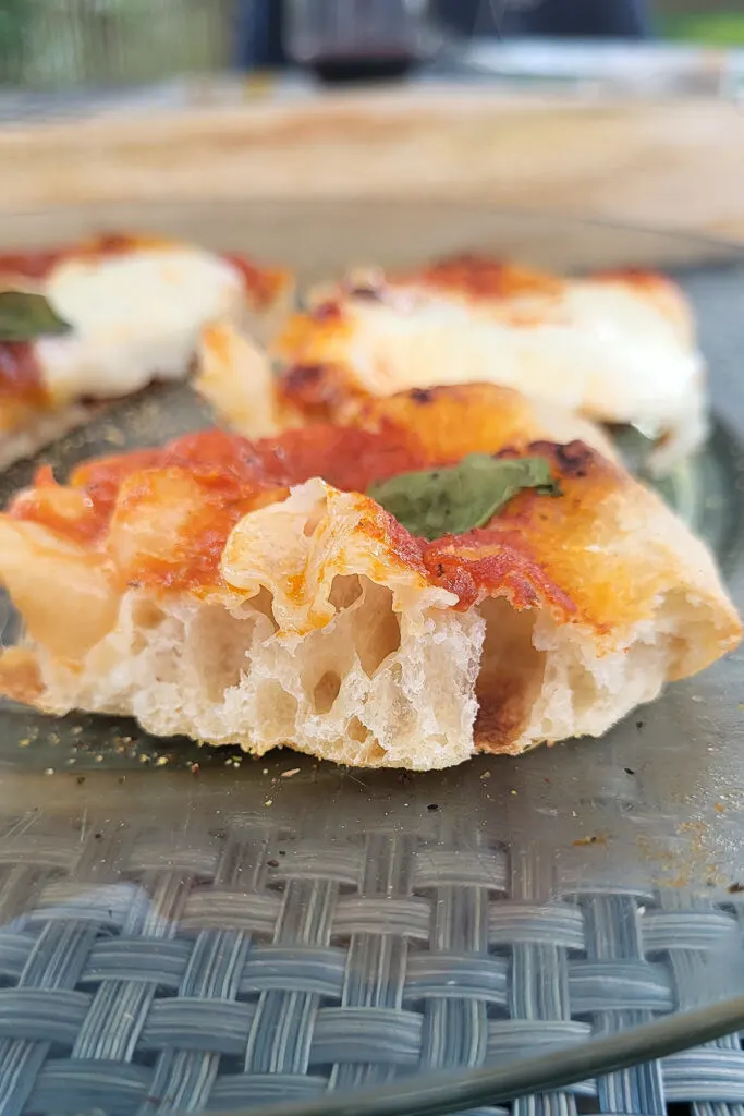 Sourdough Pizza Crust - Baking Sense®