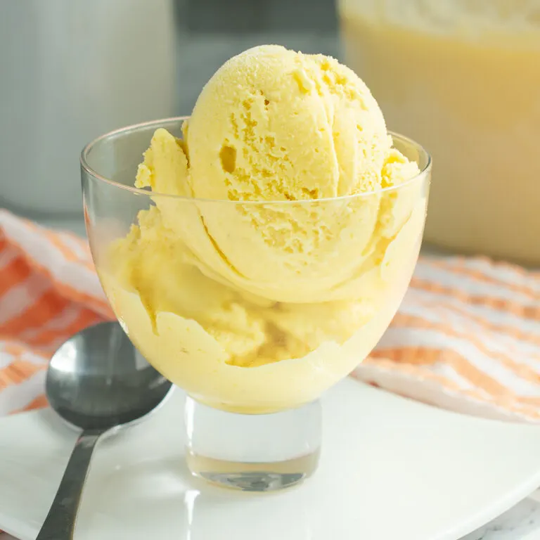 Mango Ice Cream - Baking Sense®