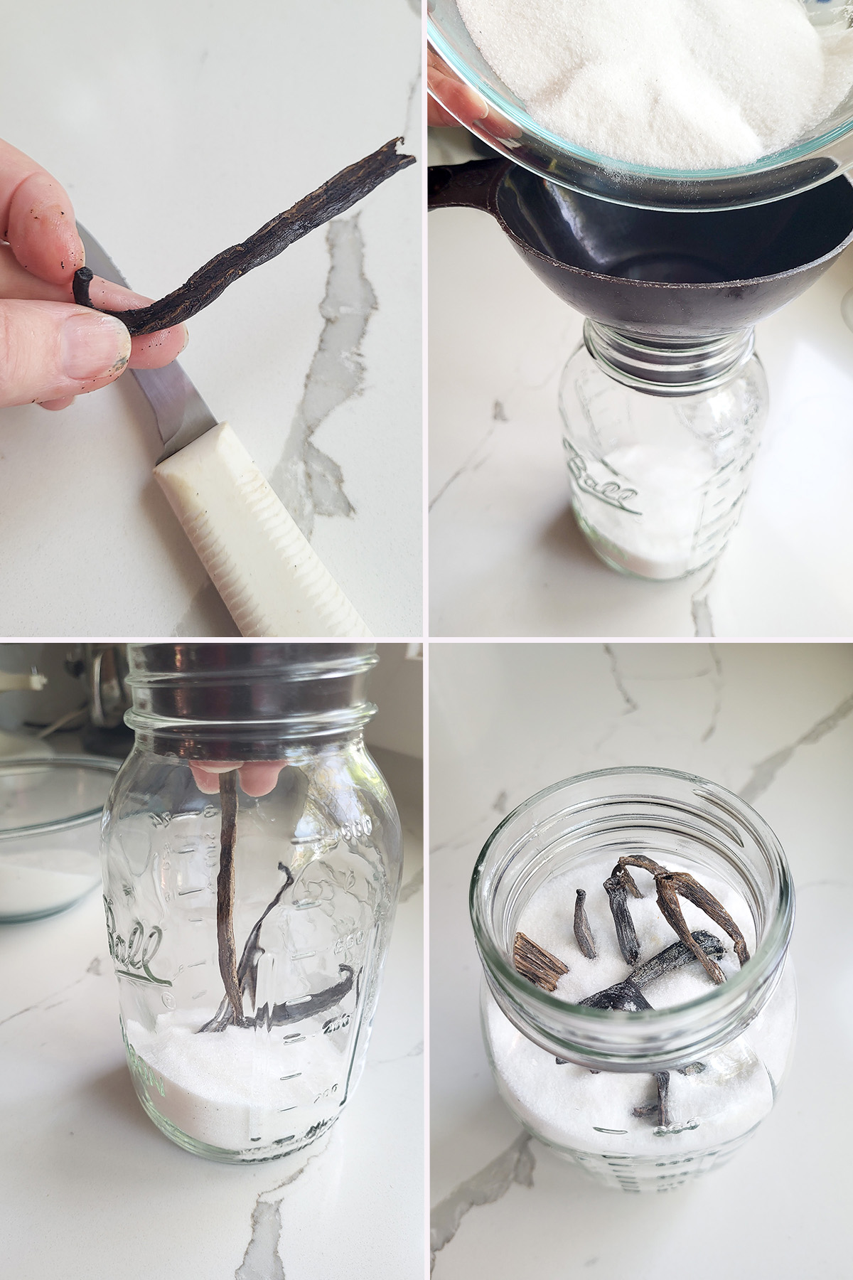 layering sugar and vanilla beans in a glass jar.