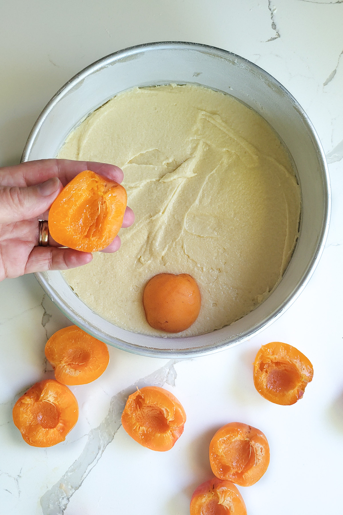 a cake pan with batter and apricot halves. Hand holing an apricot half.