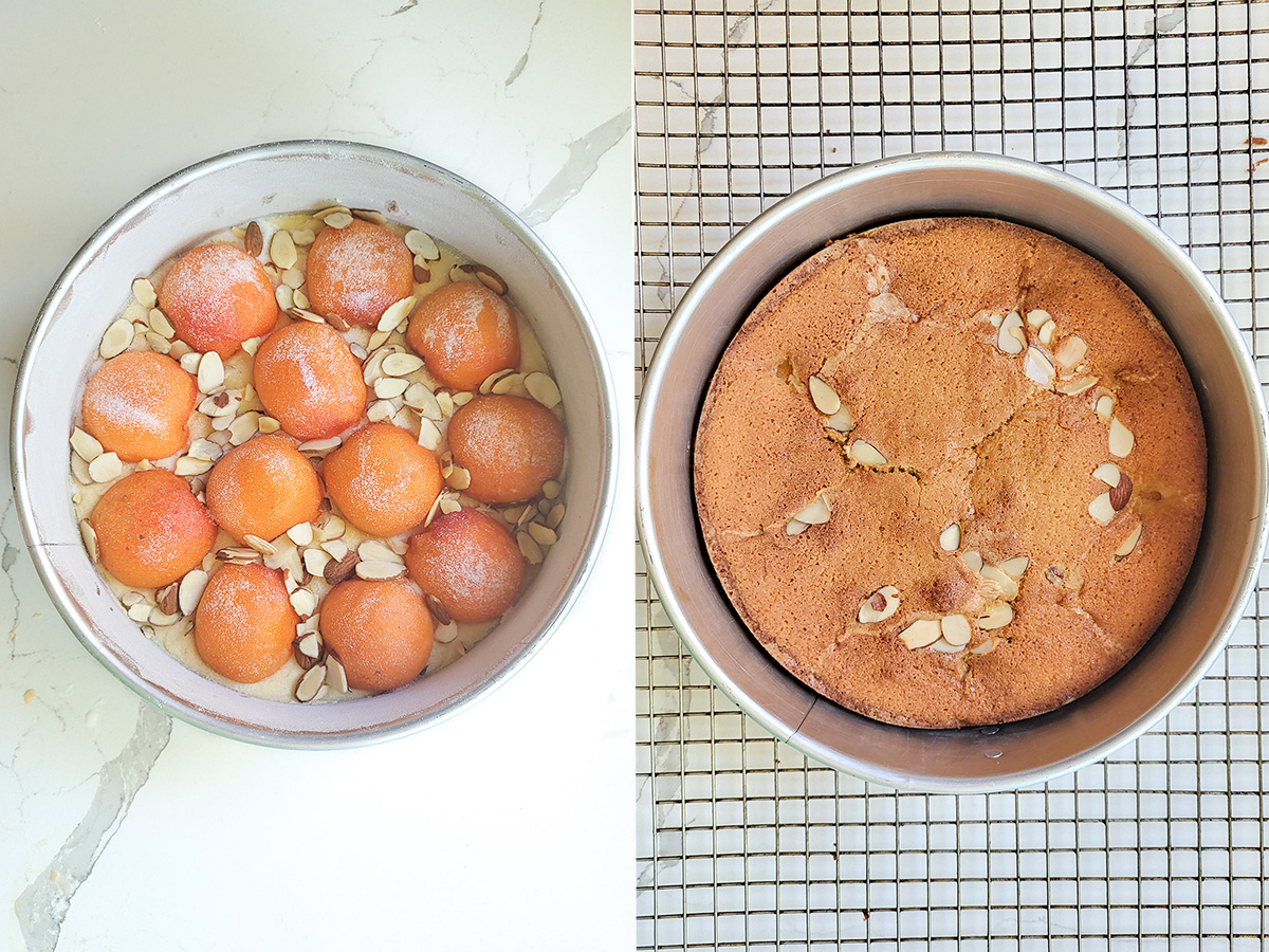 apricot cake before and after baking.