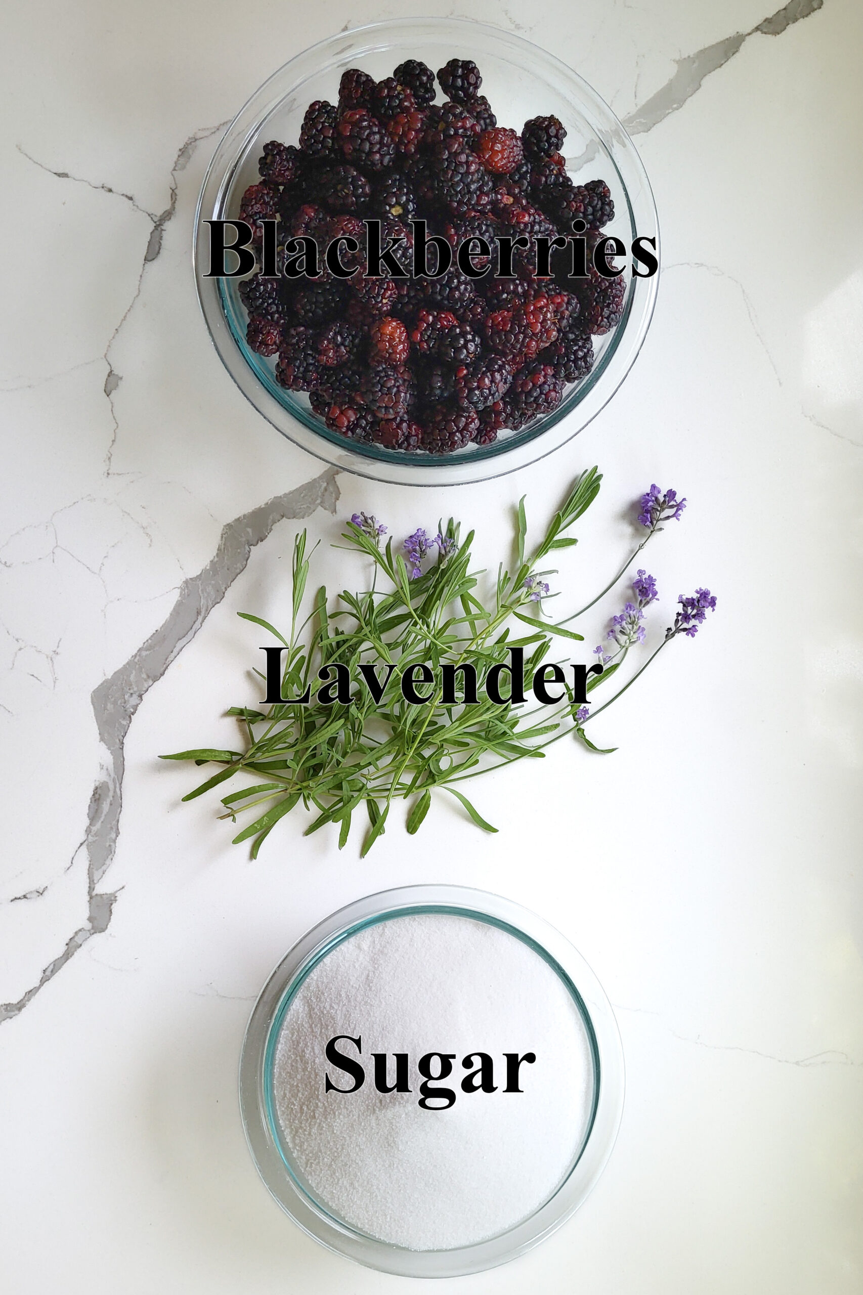 ingredients for blackberry lavender preserves in glass bowls.