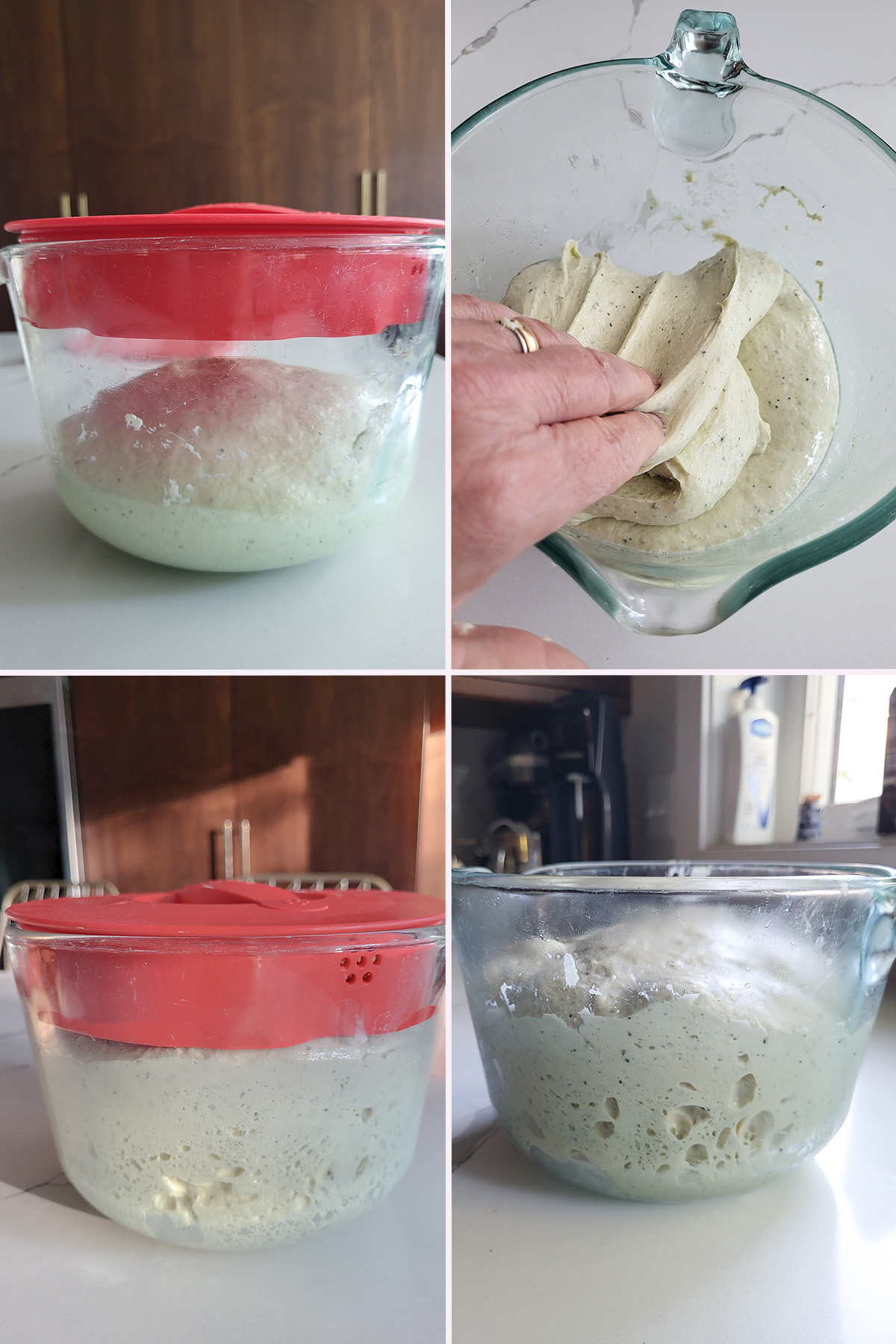 bread dough in a glass bowl rising.