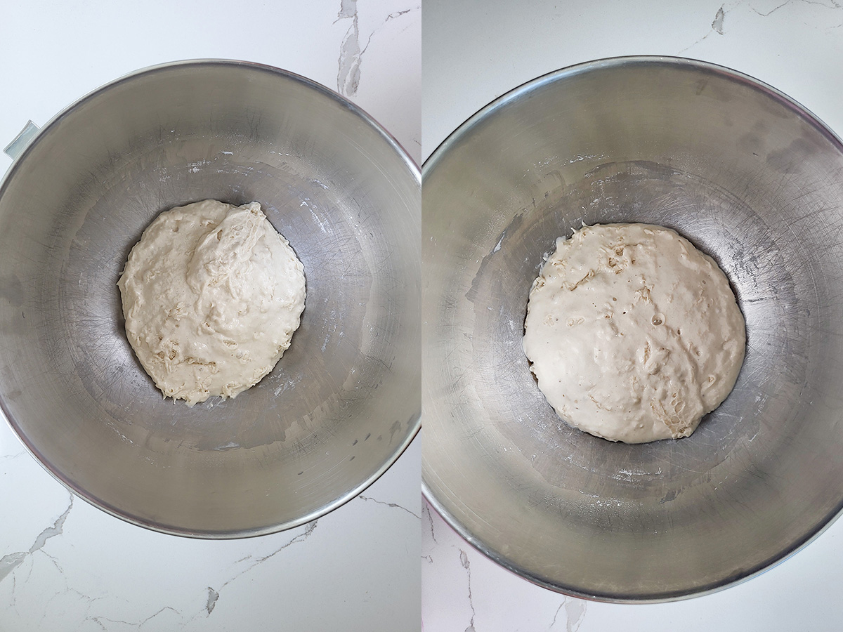 two bowls with bread dough sponge.