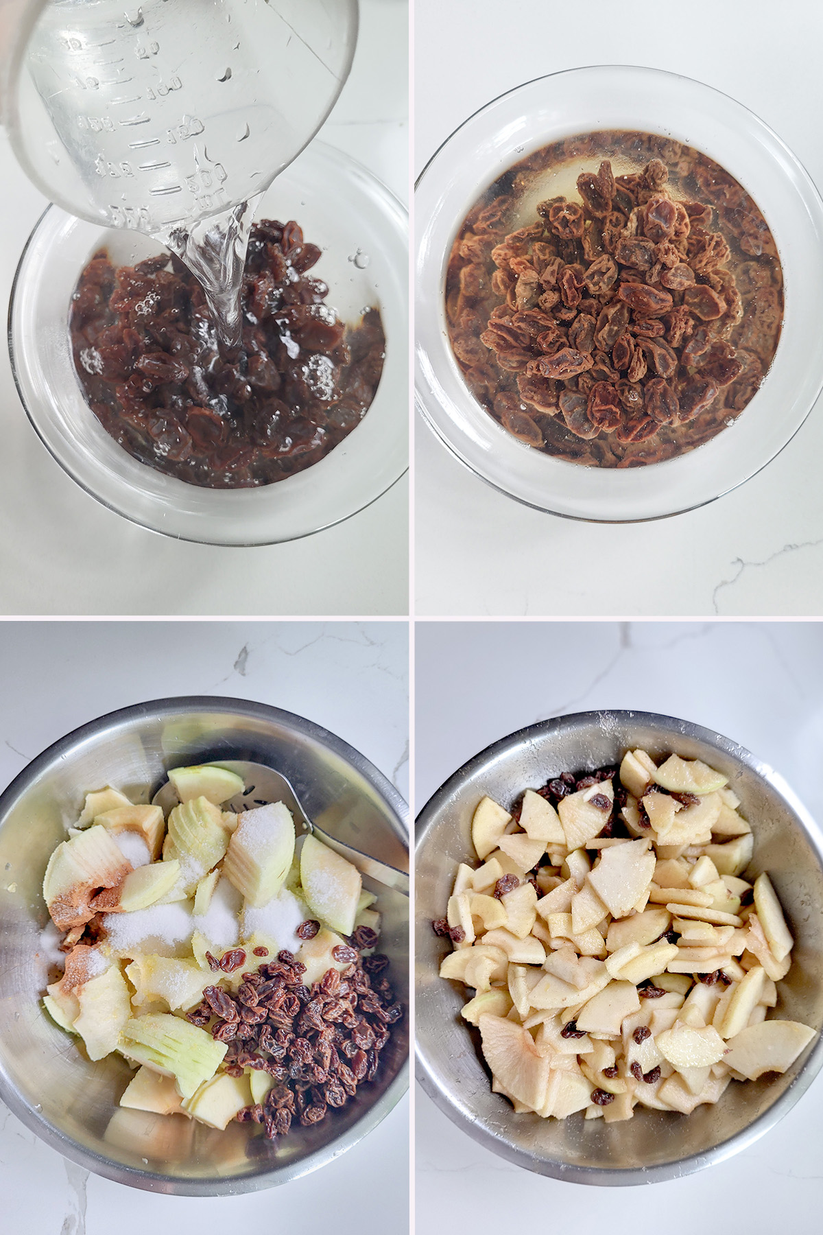 a bowl of raisins and a bowl of sliced apples.