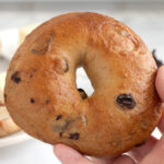 a hand holding a cinnamon raisin bagel.