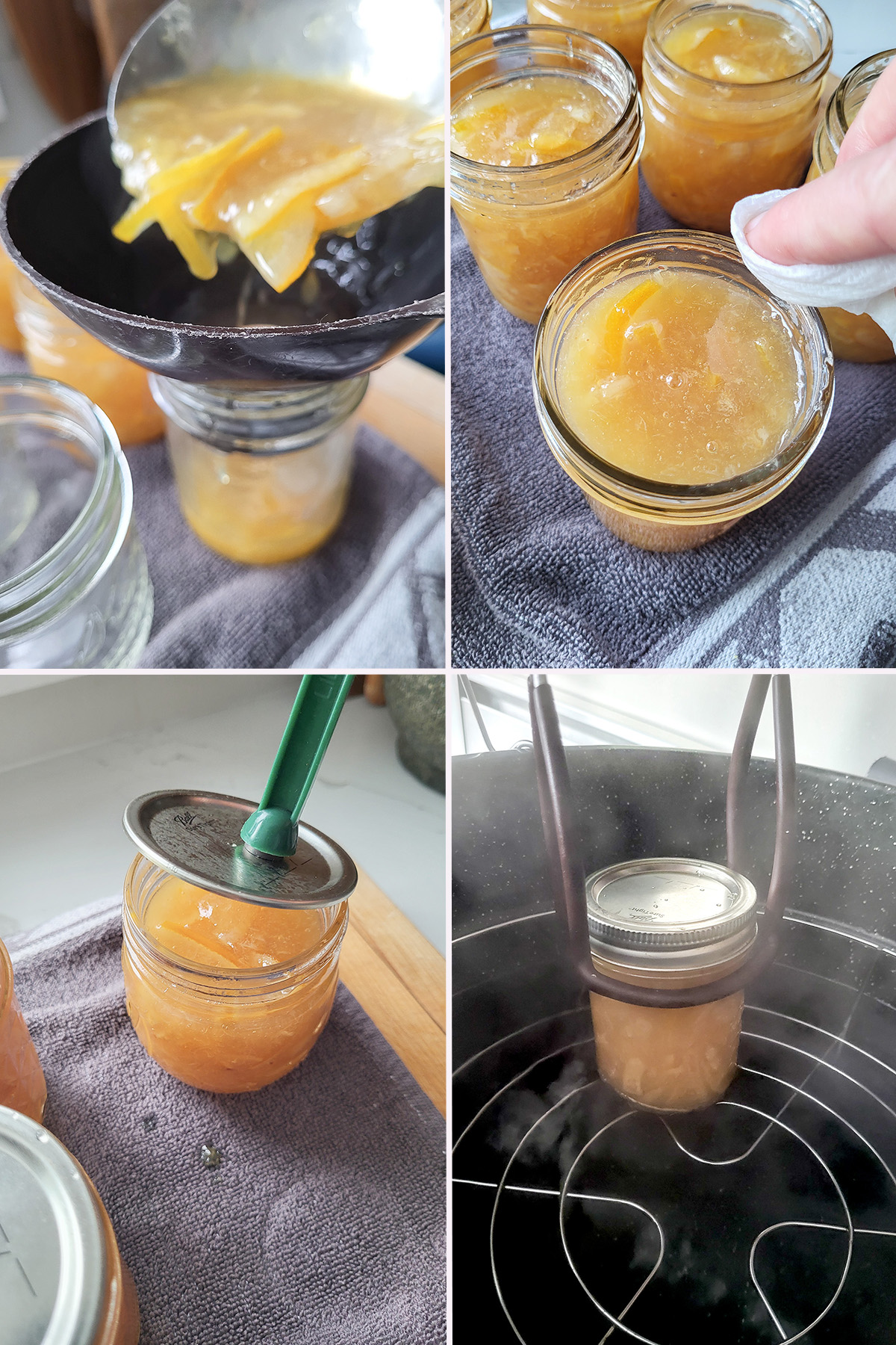 lemon marmalade in canning jars.