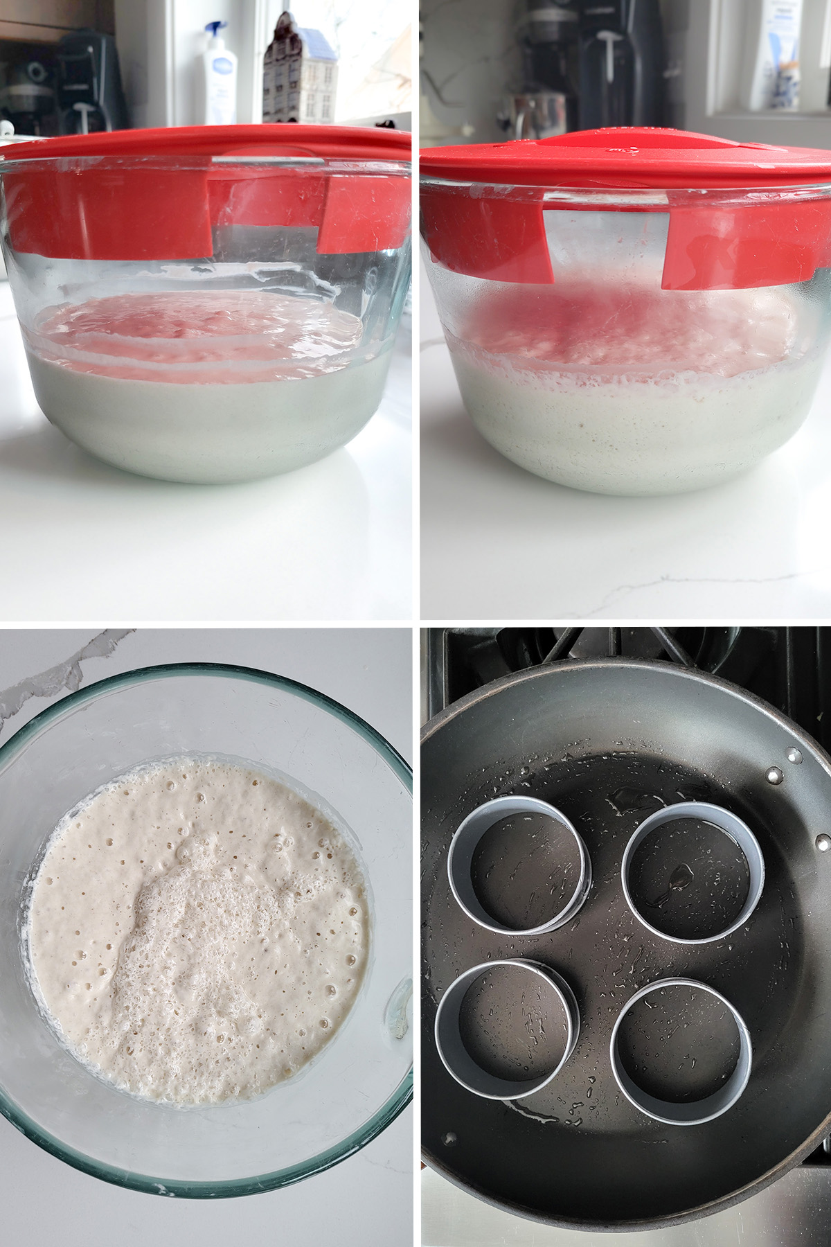 sourdough crumpet batter in a glass bowl with red lid. Crumpet rings in a black pan.